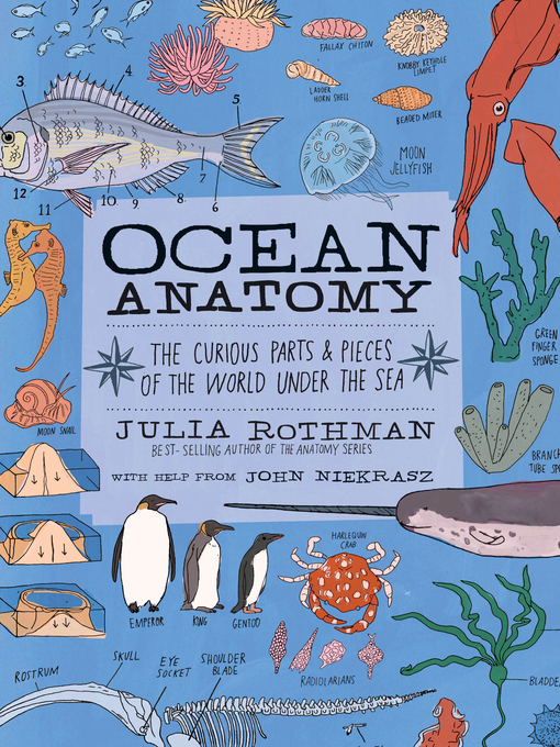 Title details for Ocean Anatomy by Julia Rothman - Wait list